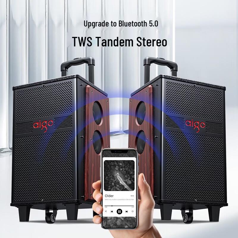 Aigo S612 Portable Outdoor Karaoke Trolley Speaker CN Plug (adapter Included)