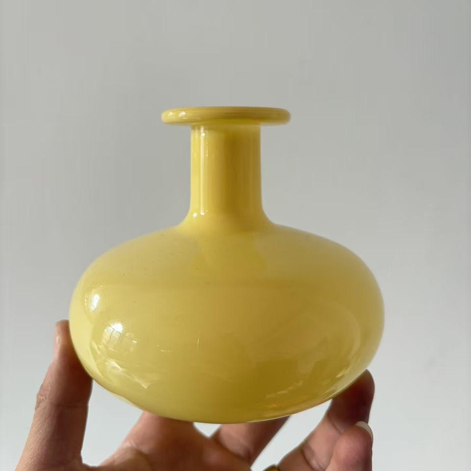Small French Retro Glass Vase for Flowers and Hydroponics