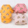 Dog Cat Clothes Autumn and Winter Bottoming Shirt Hemming Bear Multi-colored Double-sided Velvet Pet Clothes Small and Medium-sized Products