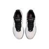 Nike LeBron 21 EP Conchiolin Unisex Sneakers Hvit Svart Bicoastal HF5842-100