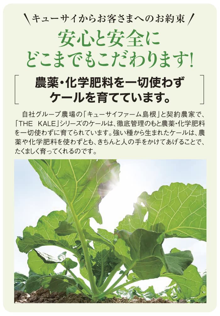 Kyusai Aojiru Grünkohl 7g x 30 Stück 2 Schachteln Großpackung