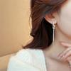 Zircon knotted tassel stud earrings fashion trend long earrings earrings women