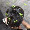 Creative Funny Little Bean Sprouts Grass Hair Clips for Girls Fashion Green Grass Bean Sprout Hairpins Plant Hair Accessories