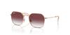 Sunglasses MINI JIM 49 RJ9594S [Ray-Ban] 291/8H