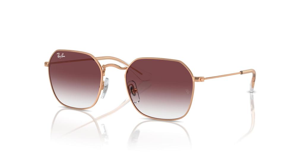 Sunglasses MINI JIM 49 RJ9594S [Ray-Ban] 291/8H