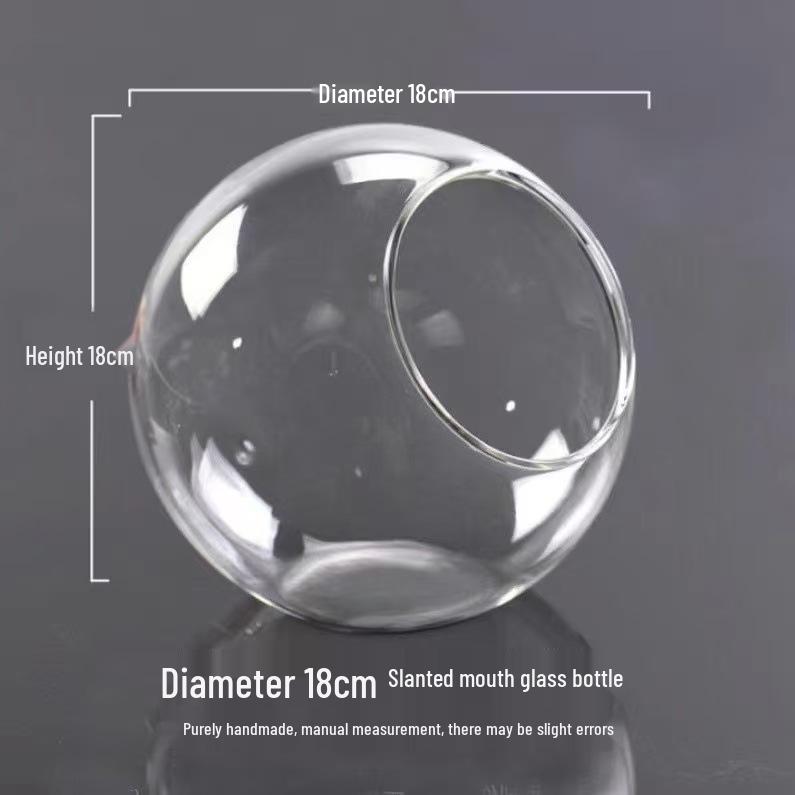 Transparent Slanted Glass Vase for Succulents and Hydroponic Flowers