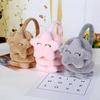 Winter Warm Earmuffs Cute Five-pointed Star Plush Children's Earmuffs (gray)