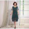European & American Plus Size Women's Dress with Print - 2025 Collection