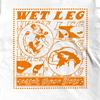Catch These Fists Wet Leg Rock T-Shirt: Indie Rock Band Tee, Screen Printed Cotton
