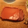 AntiSlip Reptiles Water Dish With Simulation Rock Ramp For Turtles Lizards Geckos Plastic Feeding Bowl Habitats Decors