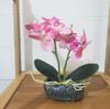 Cuiqin Artificial Phalaenopsis Photocatalytic Tabletop Stone Pot Interior Fake Silk Phalaenopsis for Grand and Respect Direct from Japan
