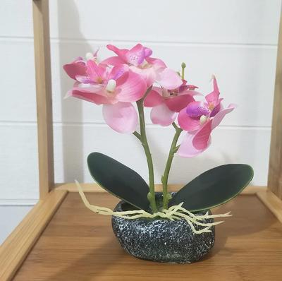Cuiqin Artificial Phalaenopsis Photocatalytic Tabletop Stone Pot Interior Fake Silk Phalaenopsis for Grand and Respect Direct from Japan