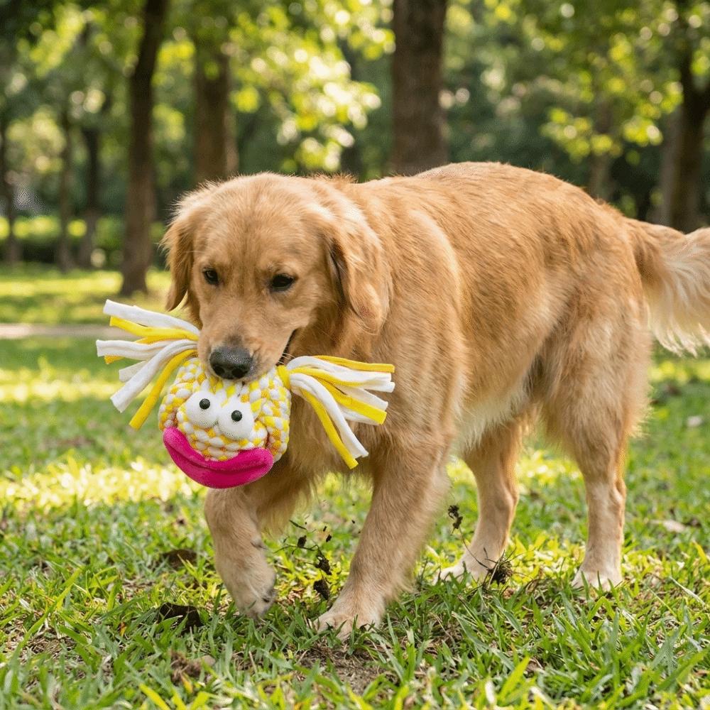 Dog Companion Toys Colorful Dog Chew Rope Toy Bite-Resistant Grinding Teeth Dog Mop Ball Toys Cartoon Pet Interactive Toys Play