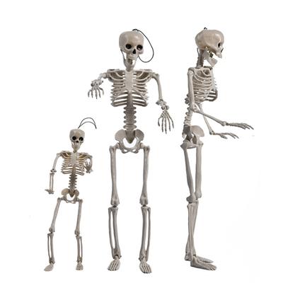 Anatomy Skeleton Model Medical Learning Skeleton Art Layout Props For Halloween Party Decoration