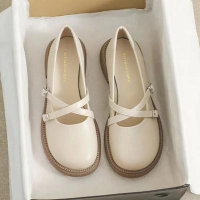Ladies Summer Footwear Black Kawaii Shoes for Women 2025 Low Heel Elegant Mary Jane Gothic Round Toe Cute Loafers Fashion Y2k A