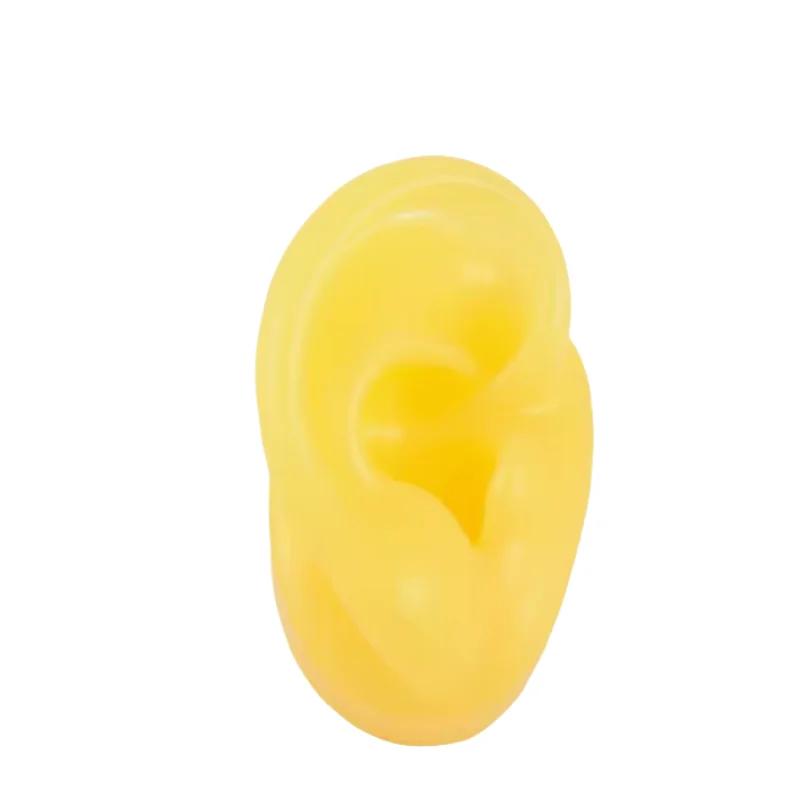5D Silicone Simulated Artificial Ear Model Ear Stud Piercing Piercing Piercing Teaching Hearing Aid Acupuncture Practice Prop