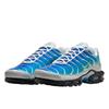 Nike Air Max Plus One Block Down Light Photo Blue