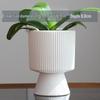 Nordic Ceramic Flower Pot with Tray - High-Footed Vertical Stripes for Indoor/ Balcony, Ideal for Pothos and Orchids.