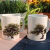 if936-Design Mug 2p-Pine Tree