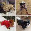5 Farben Katze Hund Daunenjacke Winter Kleine Mittlere Hunde Kleidung für Hunde Shih Tzu Bulldogge Overall Welpenmantel Haustierkleidung Overalls