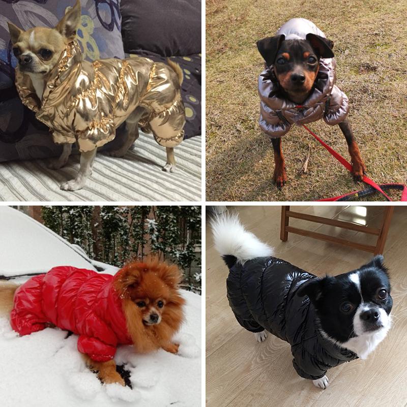 5 Farben Katze Hund Daunenjacke Winter Kleine Mittlere Hunde Kleidung für Hunde Shih Tzu Bulldogge Overall Welpenmantel Haustierkleidung Overalls
