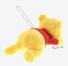 Disney Winnie the Pooh with Clip Tokyo Disney Resort TDR