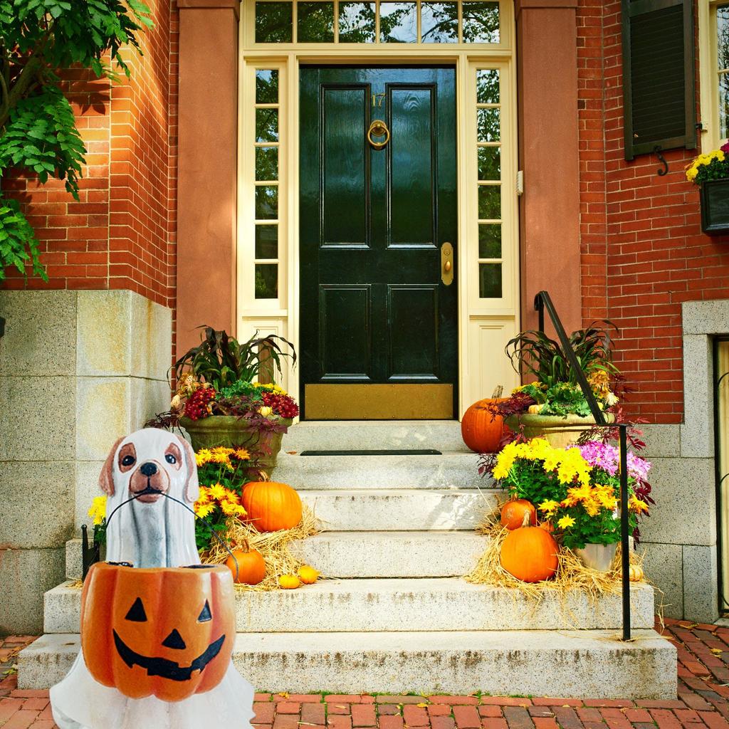 Halloween Outdoor  Dog Candy Bowl Decoration Ornaments