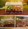 Reptile Terrarium, Ventilated, Acrylic Material, Transparent, Reptile Cage, Insect Terrarium, Suitable for Lizards/Spiders/Frogs/Turtles/Snakes/Frogs/