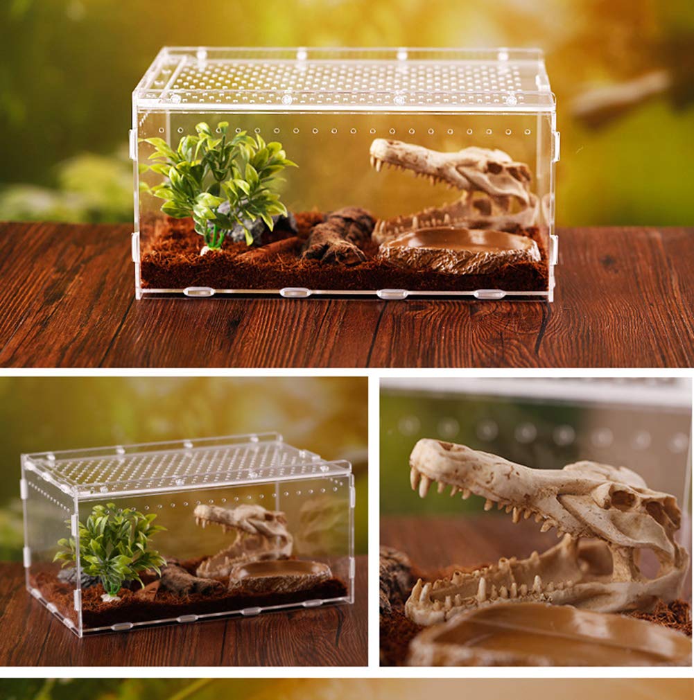 Reptile Terrarium, Ventilated, Acrylic Material, Transparent, Reptile Cage, Insect Terrarium, Suitable for Lizards/Spiders/Frogs/Turtles/Snakes/Frogs/