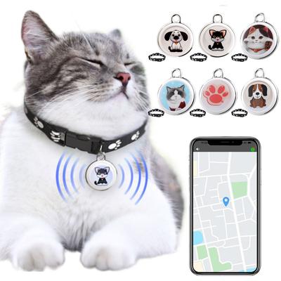 Köpek – Köpek Tasmaları ve Tasma Kayışları