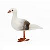 Artificial Feathered Beach Crafts Party Bird Decoration for Desk, Simulation Seagull Home Garden Decoration Artificial Feathered