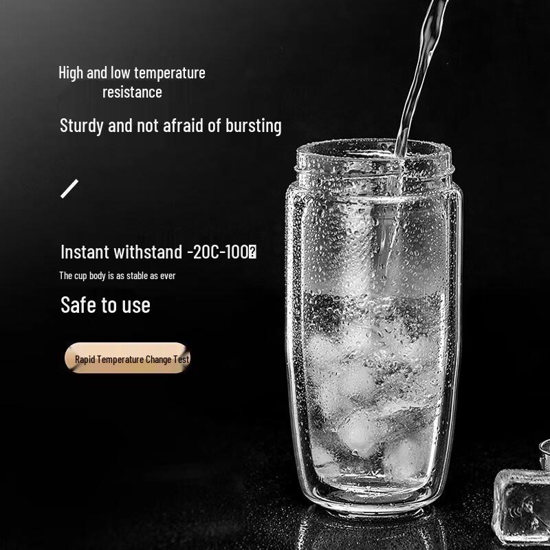 FUGUANG Double-Layer Glass Tea Infuser Bottle