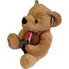 Q-FLA Plush Toy Bear, Teddy Bear, Colorful Message Bear, Talking Bear with Recording Function, Fluffy, Gift, Celebration, Present, 767180