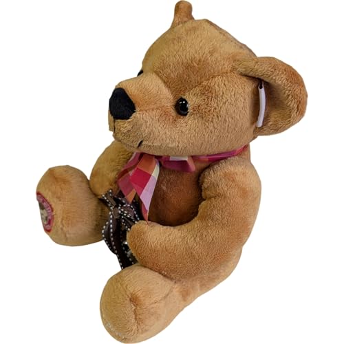 Q-FLA Plush Toy Bear, Teddy Bear, Colorful Message Bear, Talking Bear with Recording Function, Fluffy, Gift, Celebration, Present, 767180