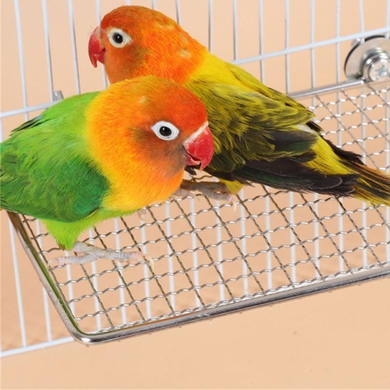  Easy Installation Stainless Steel Bird Perch Platform for Parrots and Other Bird