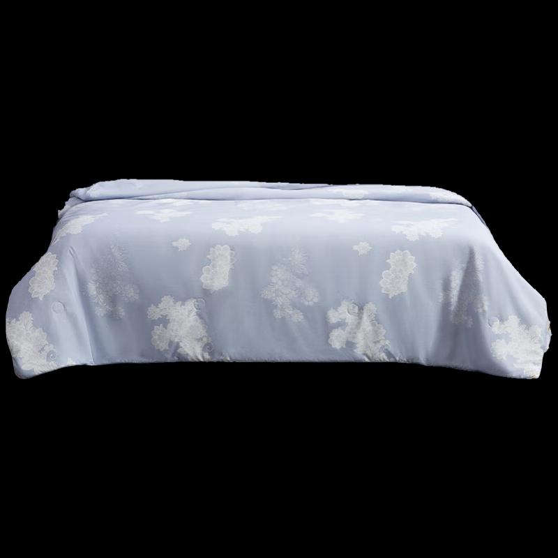 

Mercury Home Textiles Ruoying Elegant All-Season Quilt