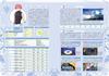 Shining Blade Complete Guide (Famitsu Strategy Guide)