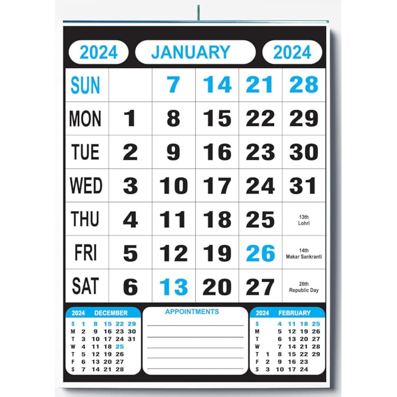 AccuPrints 12 Leaf Single Side 2023, 14 by 20 Inch Offices Wall Calendar Large Dates with Space for Marks/Notes, Paper 8