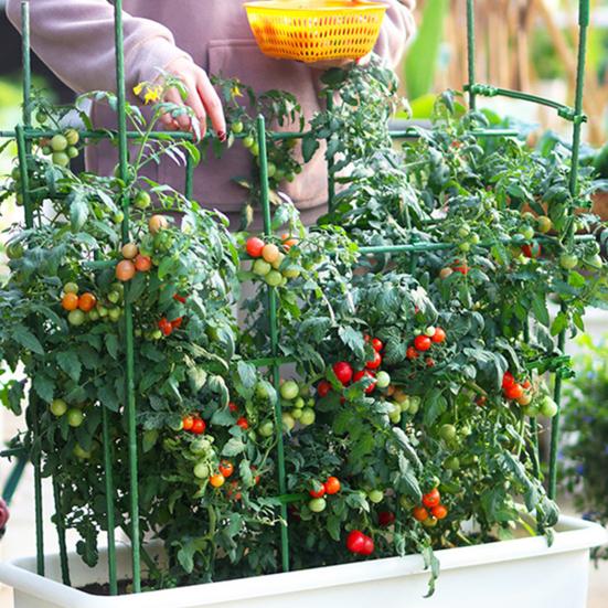 10Pcs Plant Trellis Connectors Flexible Sturdy Rust-Proof Plastic Connecting Rod Support Expandable Garden Vegetables Tomato Cage Stake Arm