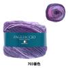 SKIYARN Yarn Color Autumn/Winter "Paiaccio 703"