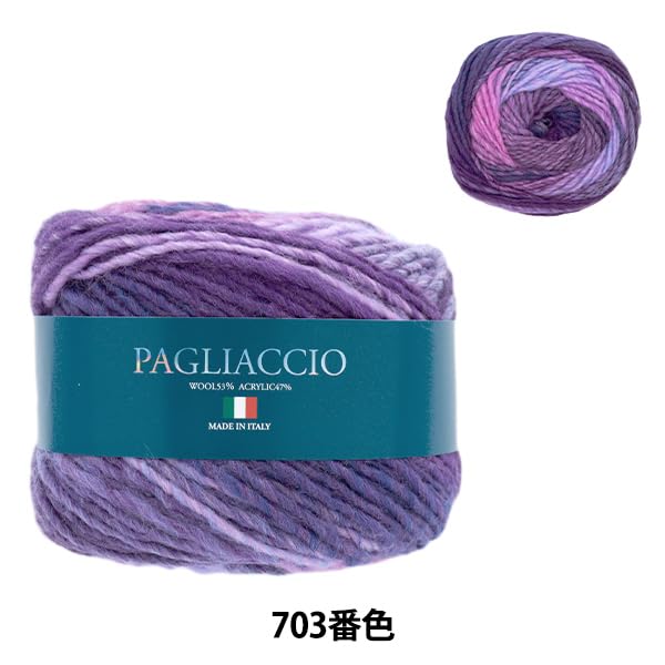 SKIYARN Yarn Color Autumn/Winter "Paiaccio 703"