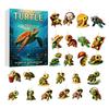 Christmas Advent Calendar Ocean Animal Calendar,24Pcs Acrylic 2D Ornament Set with Turtle Penguin Shell Fish Decor Sea Turtle/Shell/Fish/Penguin/Shark