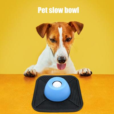 Perros – Proveedores de agua y alimento
