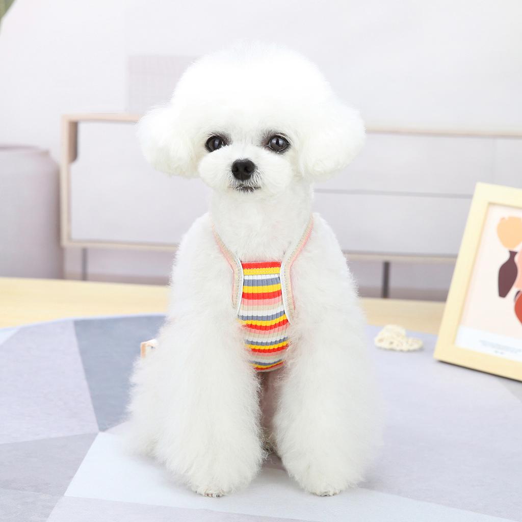 Dog Clothes Summer Thin Small Dog Teddy Princess Dress Suspender Bichon Frize Cat Color Strip Embroidered Cherry