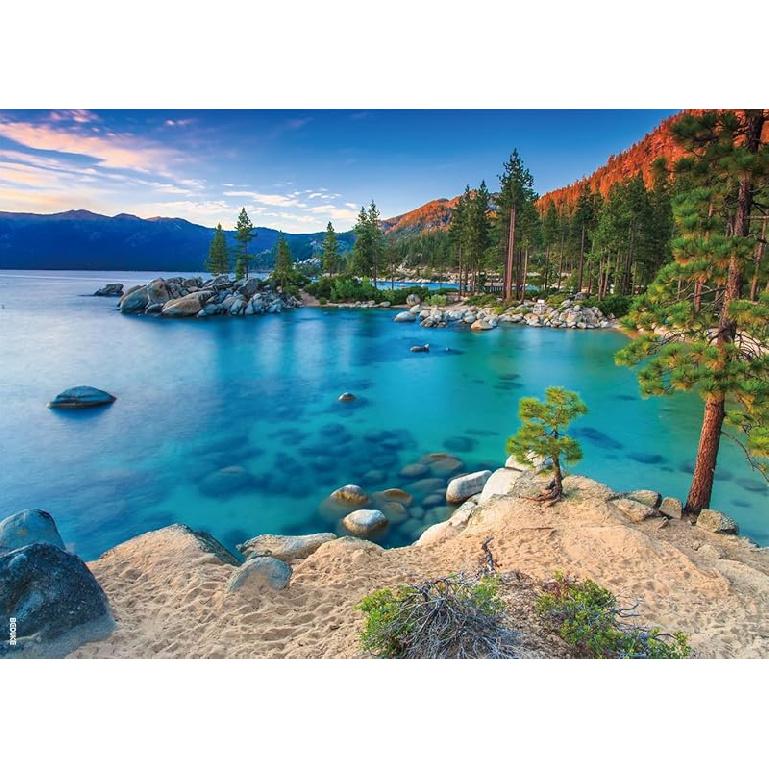 Jigsaw Puzzles for Adults 1000 Piece - Every Piece Is Unique - Precise Interlocking Tropical Forest Animals Thick Sturdy Cardboard Family Game Puzzle