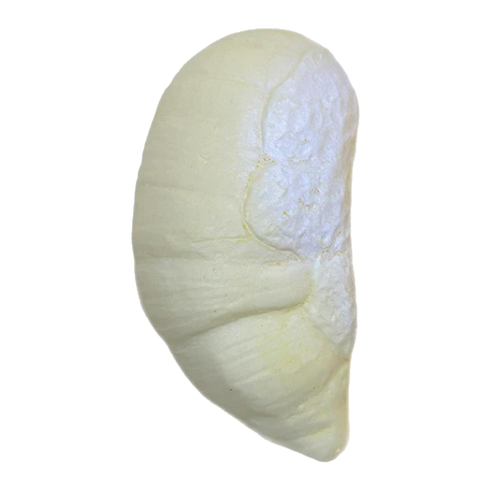 

Simulation Food Squeeze Toy Ultra Soft Slow Rising Squishies Realistic Durian Squishies Toy Novelty Gift for Kids & Adults