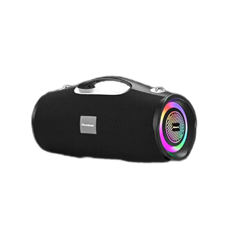 Newman BT100 Outdoor Portable Karaoke Bluetooth Speaker