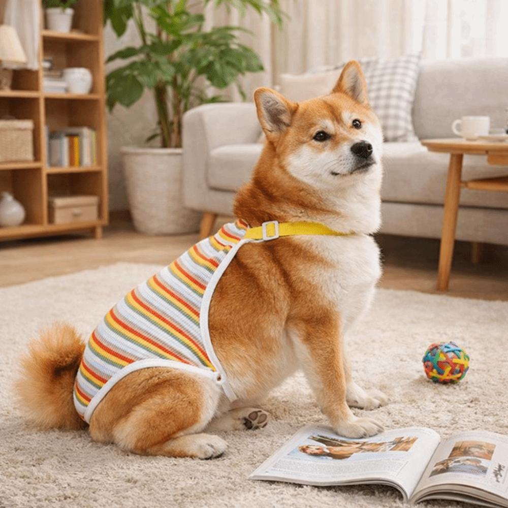 Adjustable Straps Pet Physiological Pants Breathable Dog Underwear Pet Safety Trousers Daily Wear
