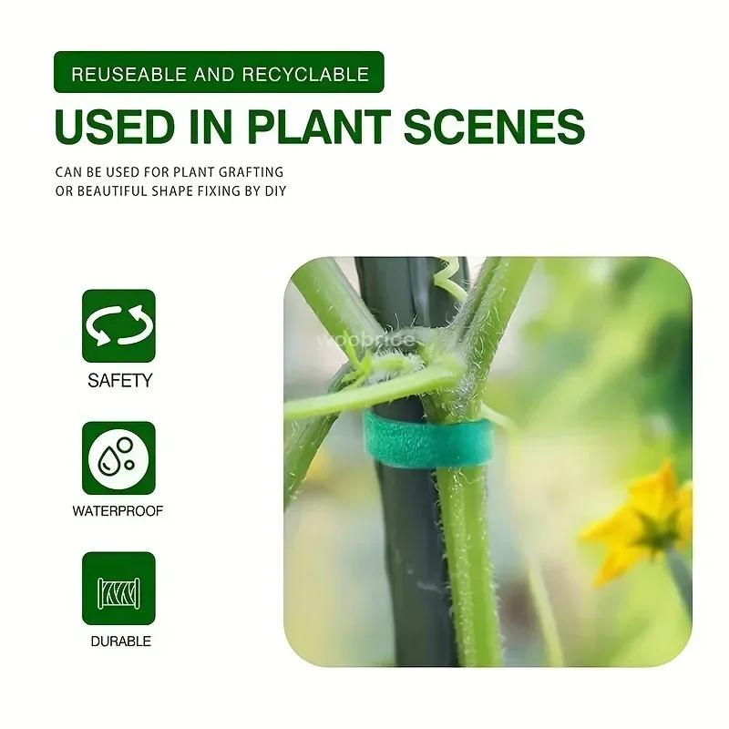 Kendinden Yapışkanlı Naylon Bitki Bağları Bahçe İpi Bitki Bandajı Kanca Döngüsü Asma Sarma Destek Bandı Bahçe Sabitleme Şeritleri Kablo Bağı