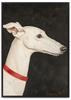 Poster Picture White Dog Greyhound